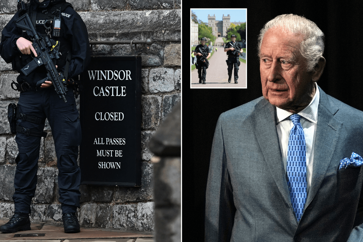 Armed police accused of SLEEPING instead of guarding King at Windsor Castle