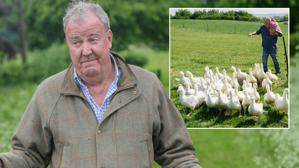 Jeremy Clarkson concedes 'there's no point' as he confirms halt to 'real farming' at Diddly Squat: 'Impossible to make money!'
