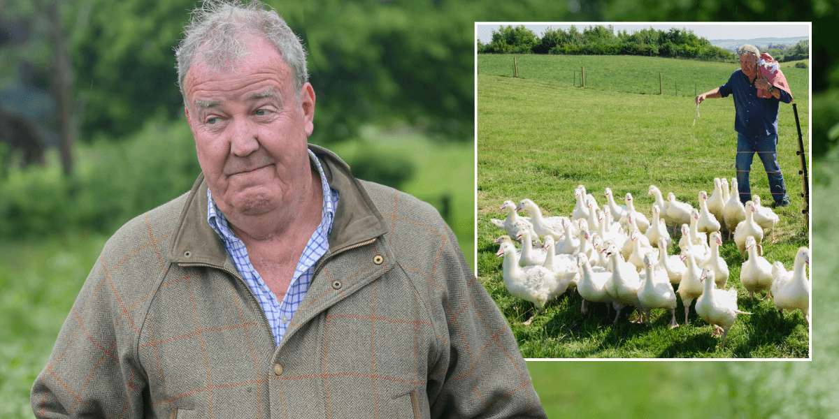 Jeremy Clarkson concedes ‘there’s no point’ as he confirms halt to ‘real farming’ at Diddly Squat: ‘Impossible to make money!’ Jeremy Clarkson concedes ‘there’s no point’ as he confirms halt to ‘real farming’ at Diddly Squat: ‘Impossible to make money!’