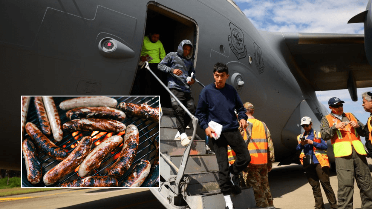Pork sausages served to Muslim passengers on deportation flight