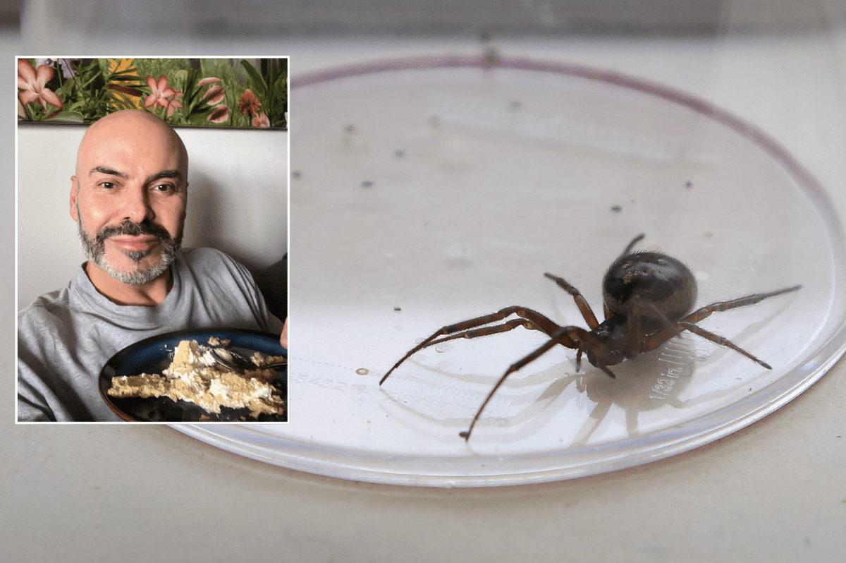 Briton left with massive hole in his chest after getting bitten by 'UK's most dangerous spider'