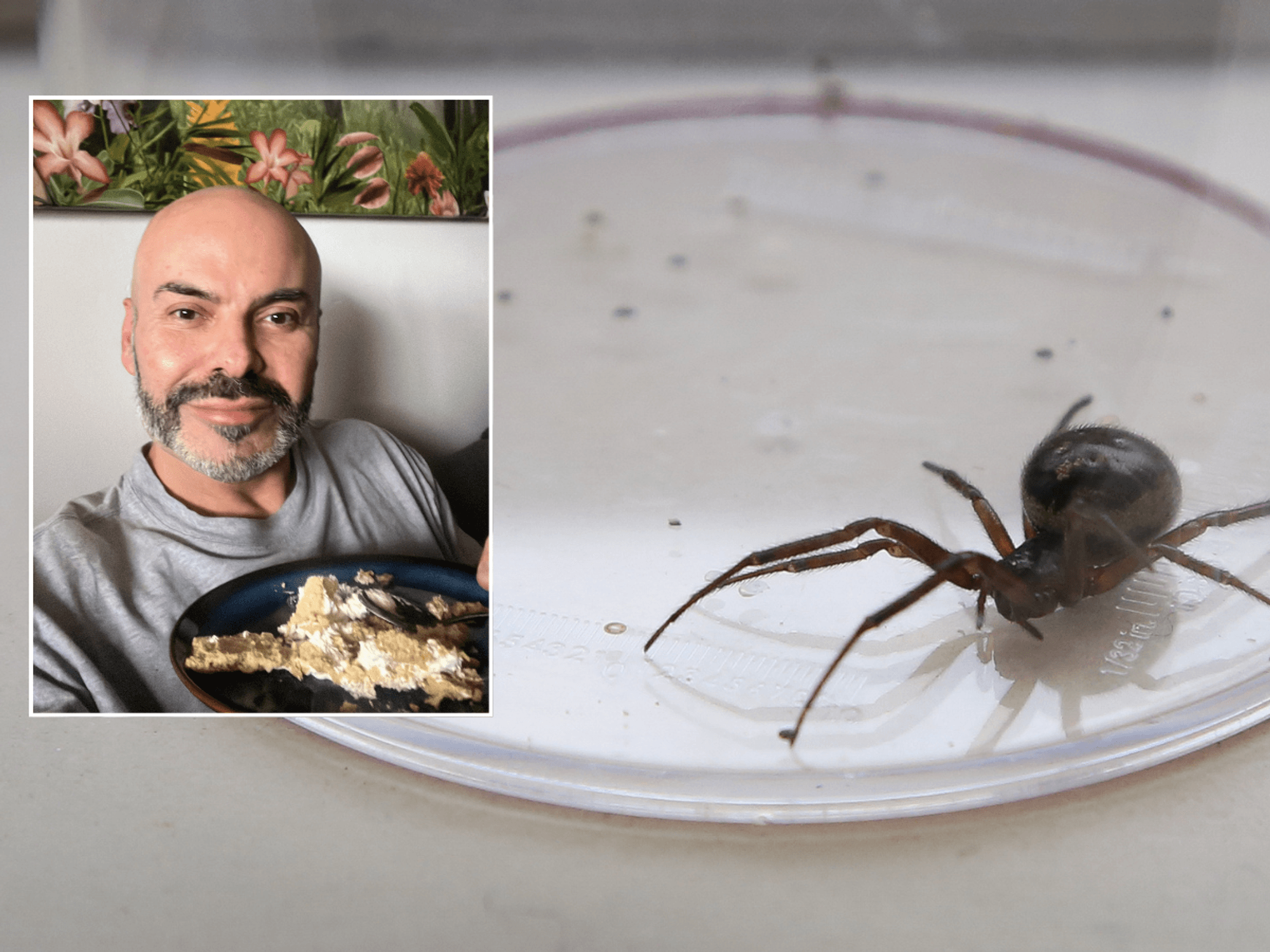 Briton left with massive hole in his chest after getting bitten by 'UK's most dangerous spider'