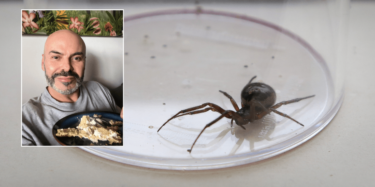 Briton left with massive hole in his chest after getting bitten by ‘UK’s most dangerous spider’ Briton left with massive hole in his chest after getting bitten by ‘UK’s most dangerous spider’