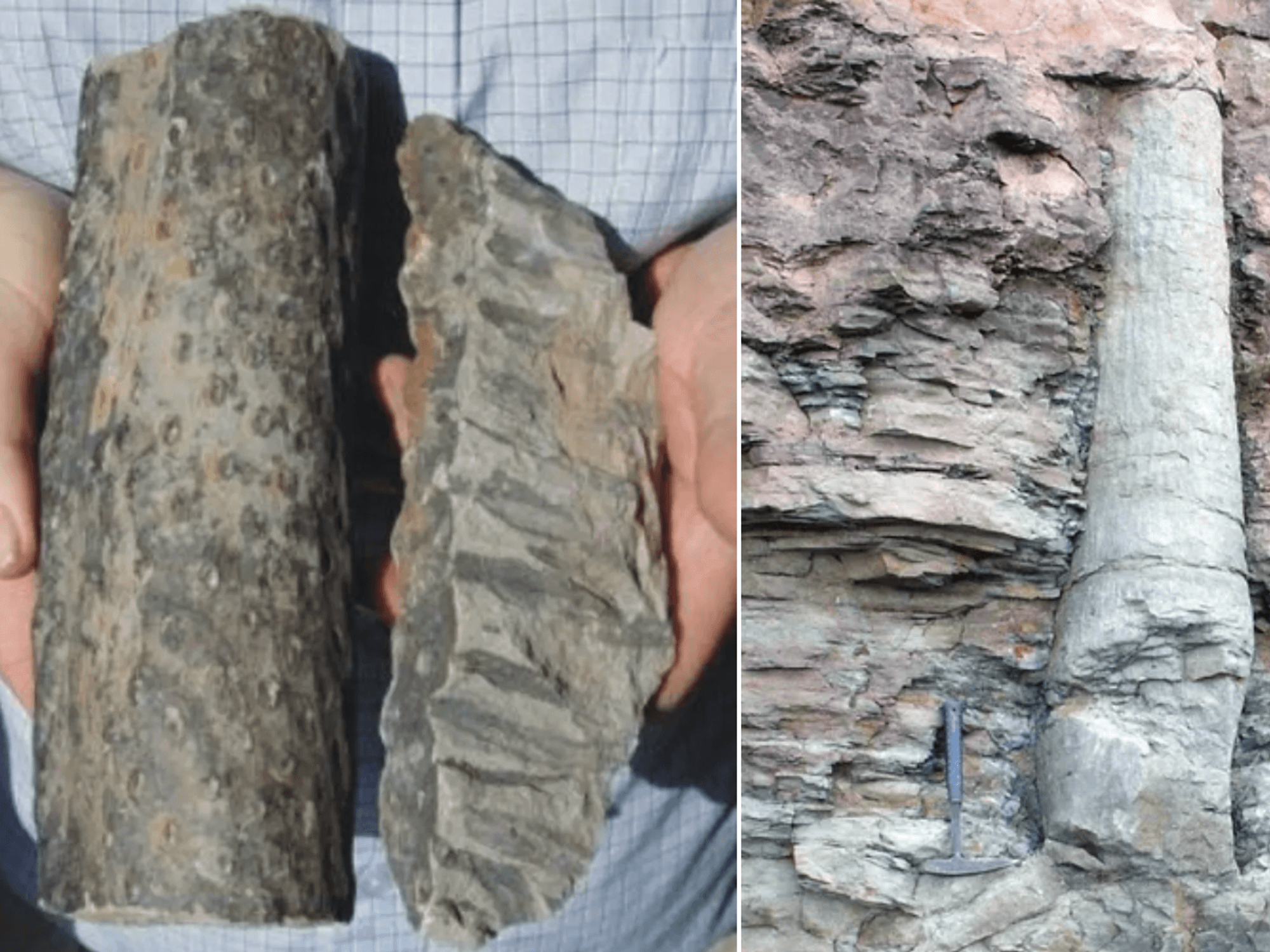 Mysterious fossils found across America could prove Bible story is TRUE claim researchers
