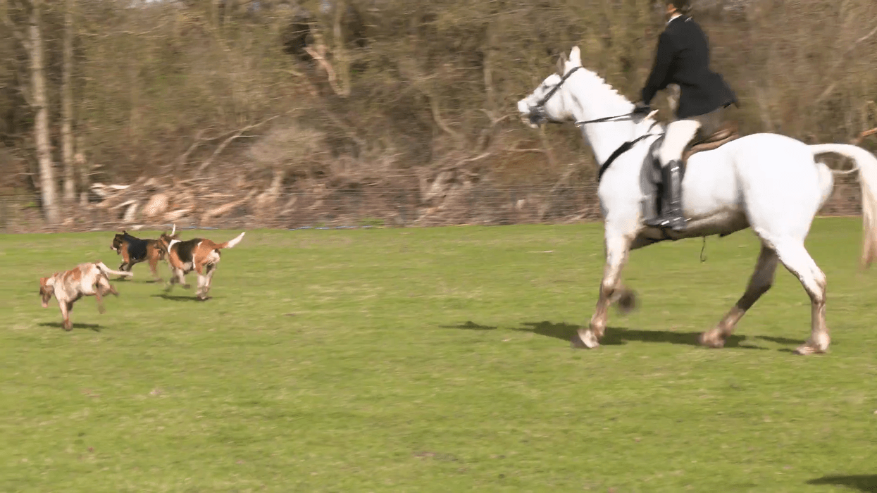 Fears trail hunting ban would have a devastating impact on the rural economy with 1,000 jobs at risk