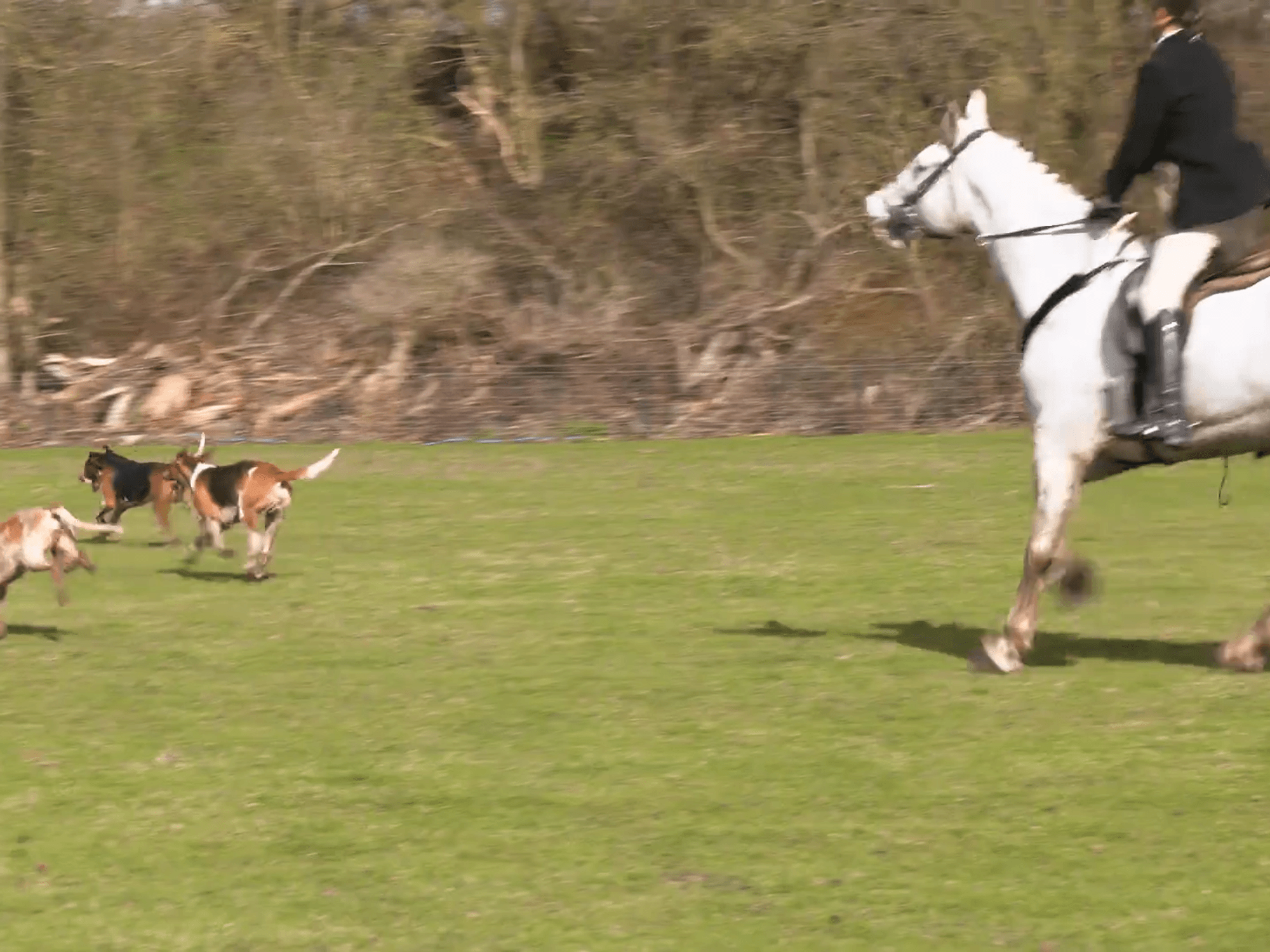 Fears trail hunting ban would have a devastating impact on the rural economy with 1,000 jobs at risk