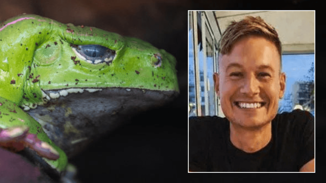 Briton dies after attempting ‘fashionable’ frog poison detox