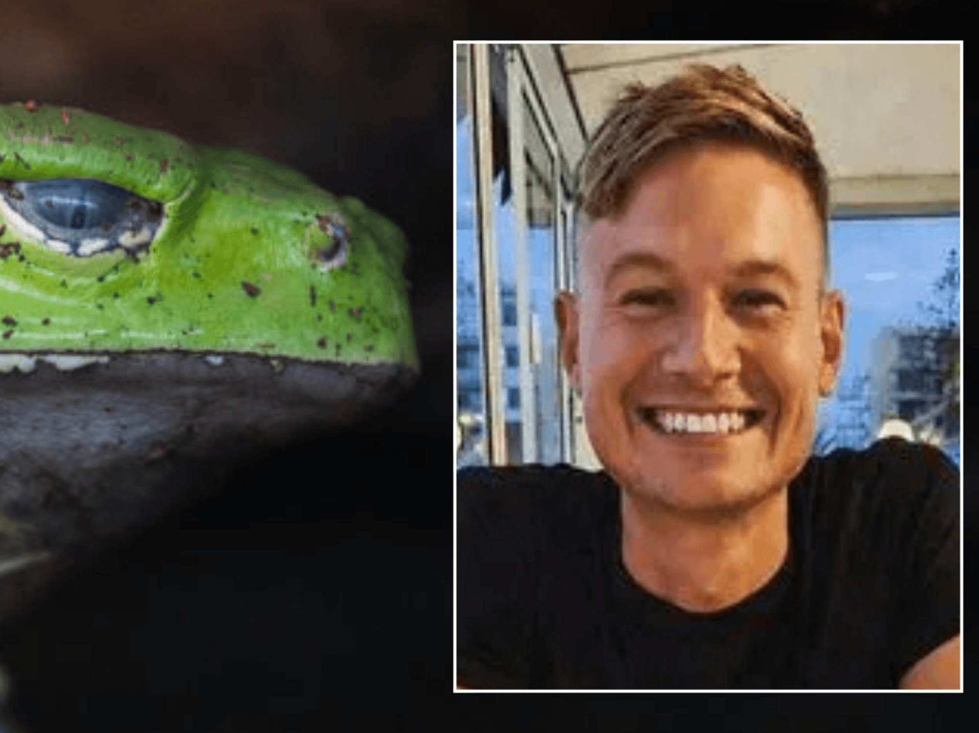 Briton dies after attempting ‘fashionable’ frog poison detox