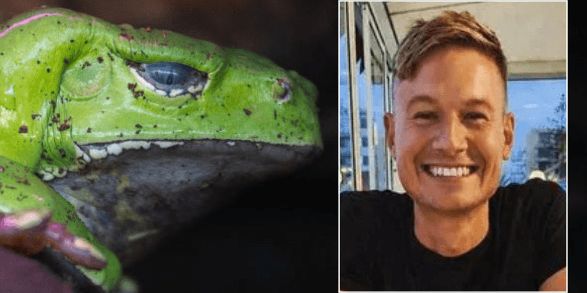 Briton dies after Amazon 'kambo' frog detox