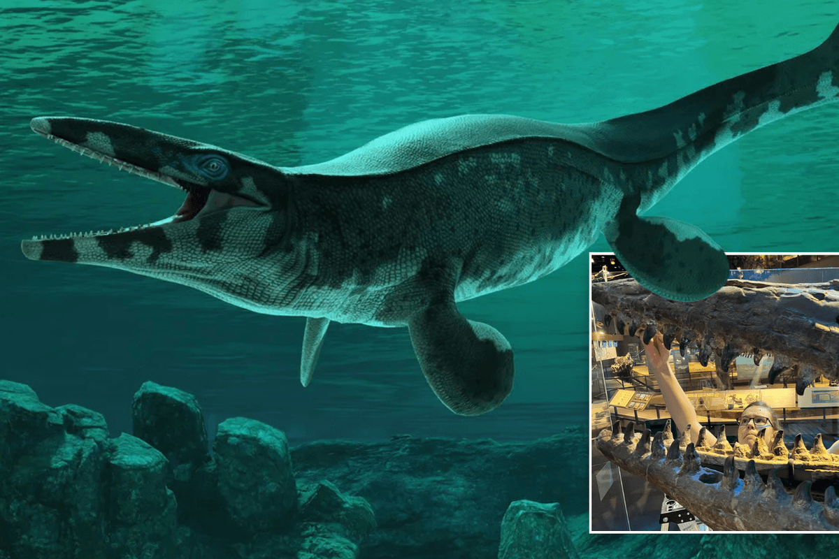Scientists reveal terrifying 'marine T-Rex' the size of a BUS lurking below ground