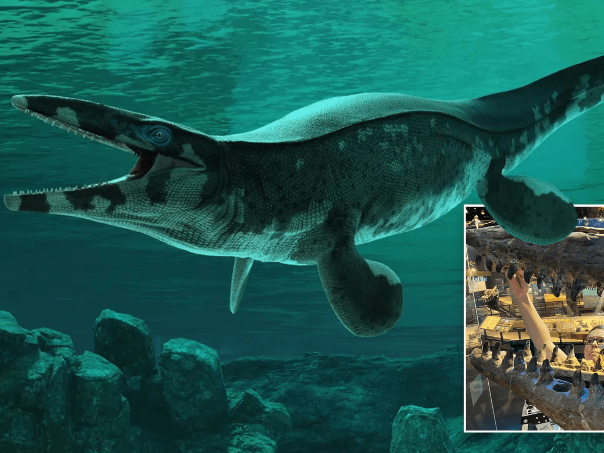 Scientists reveal terrifying 'marine T-Rex' the size of a BUS lurking below ground