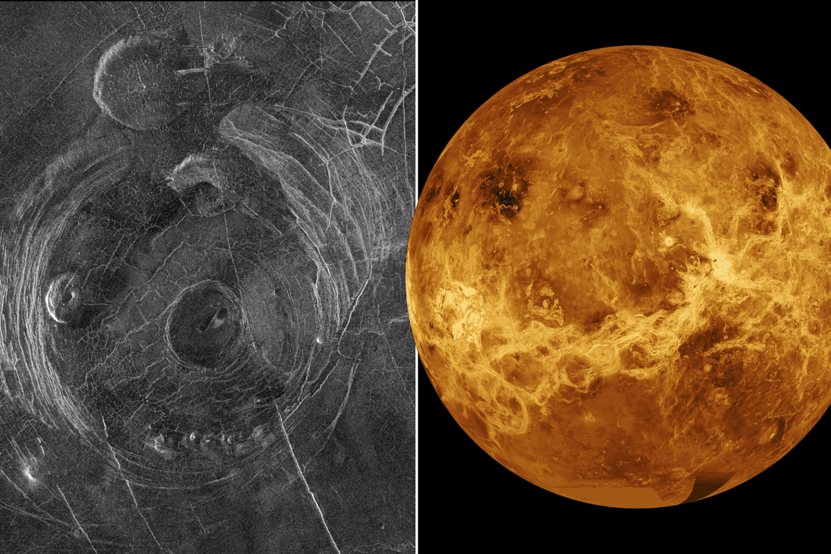 Scientists left puzzled after strange 'earthlike' patterns spotted on surface of Venus