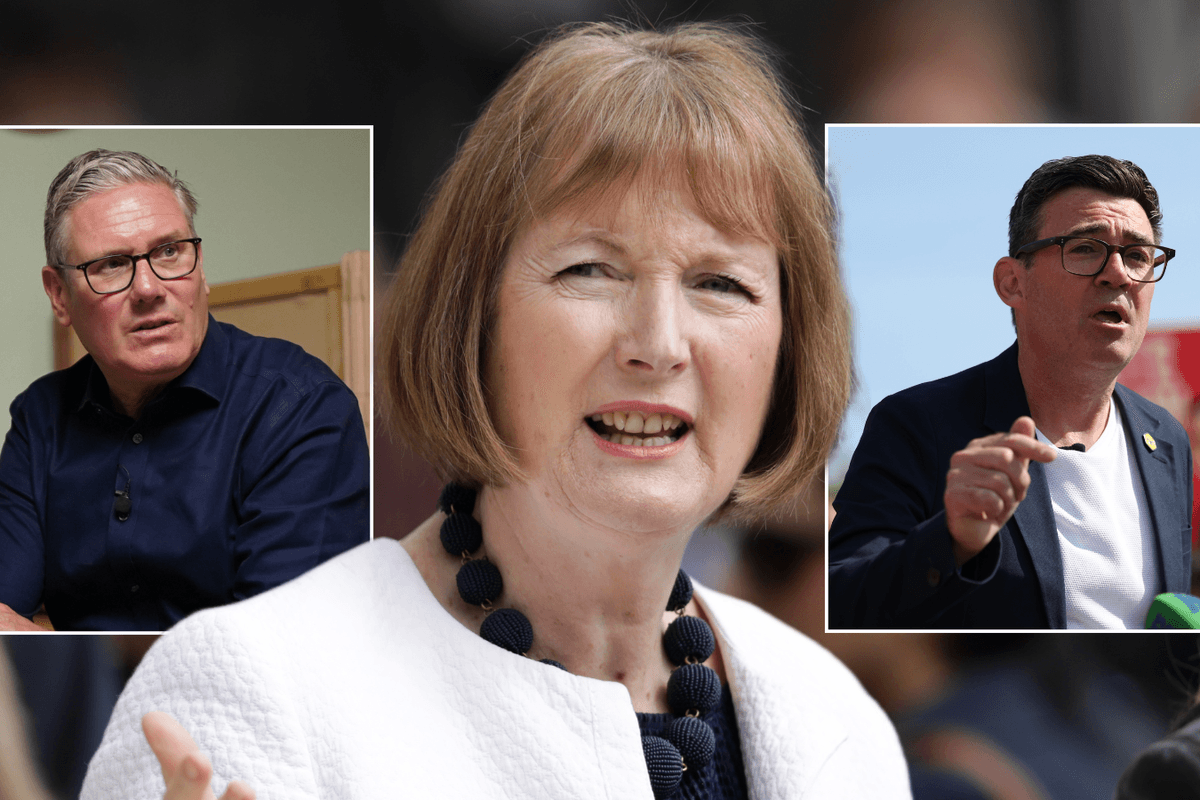 Andy Burnham could trigger 'chaotic' leadership contest and early general election, Labour veteran fears