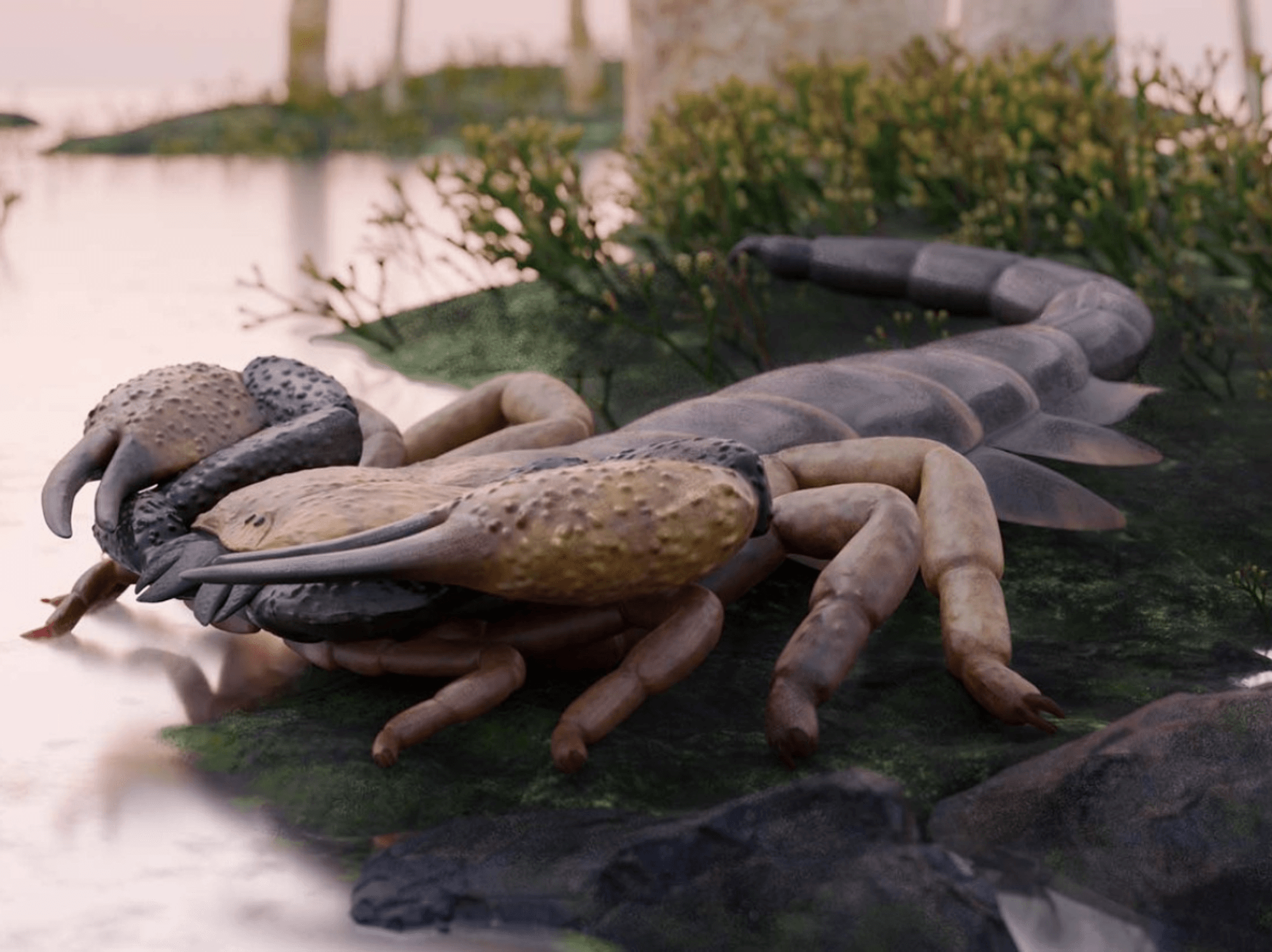 Dog-sized scorpions thought to be largest in history roamed the West Midlands, scientists reveal