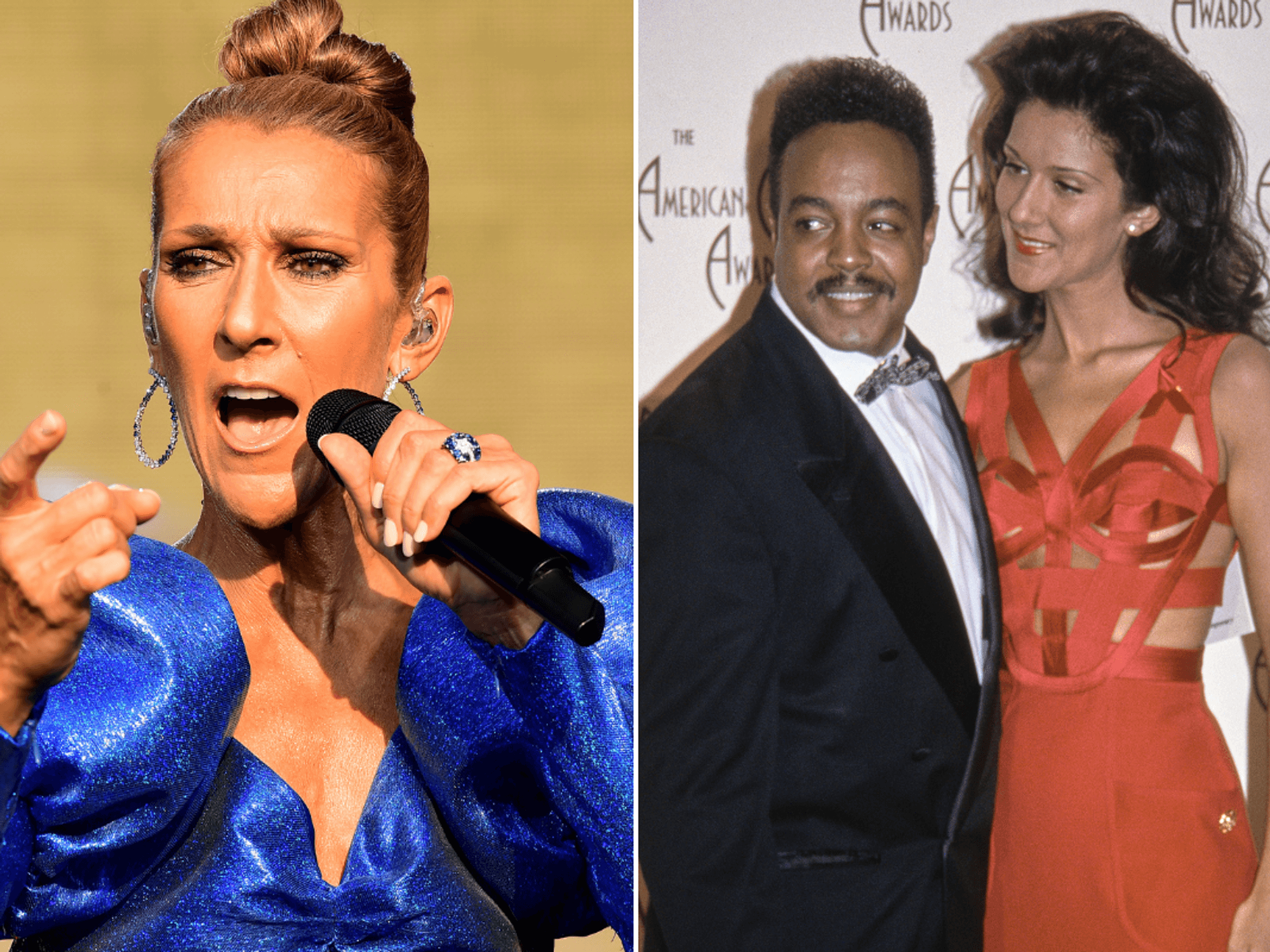 Celine Dion 'heartbroken' as she pens emotional statement following death of Beauty and the Beast...
