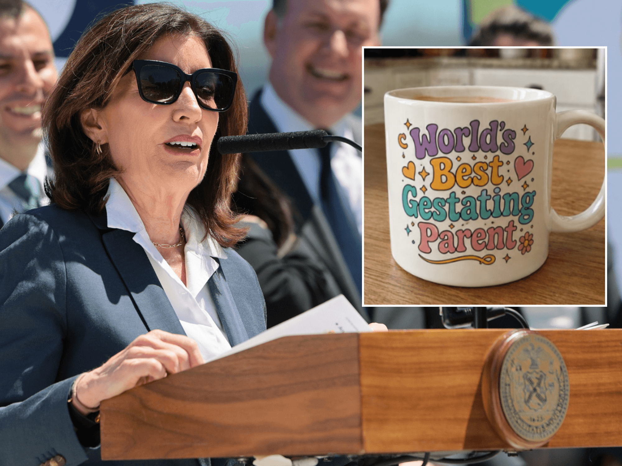 New York Democrats push to replace ‘mother’ with ‘gestating parent’ under inclusivity drive