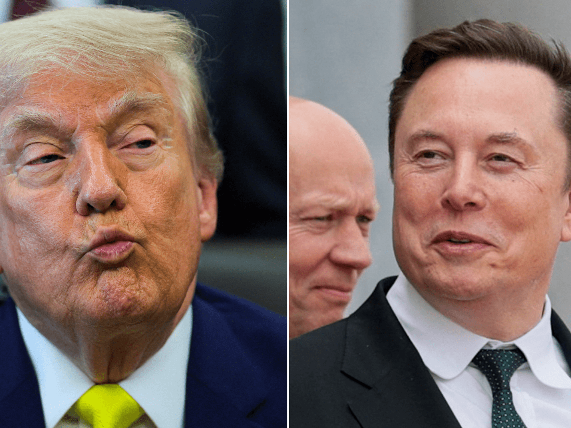 Thank god Elon Musk and Donald Trump are alerting the world to Labour's mad destruction of Britain