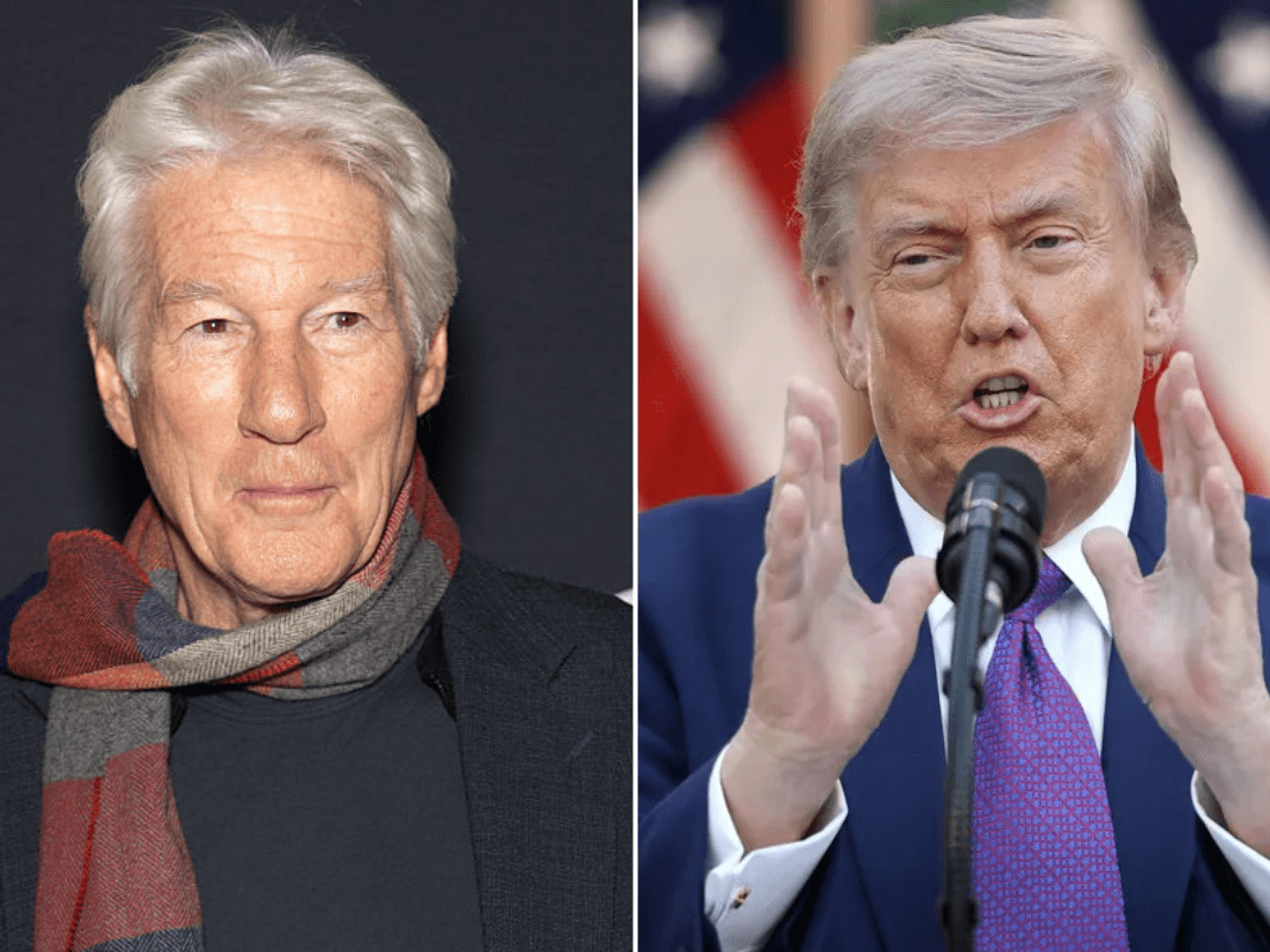 Richard Gere sparks fury as Hollywood actor blasts 'shameful' Donald Trump despite ditching USA for Spain
