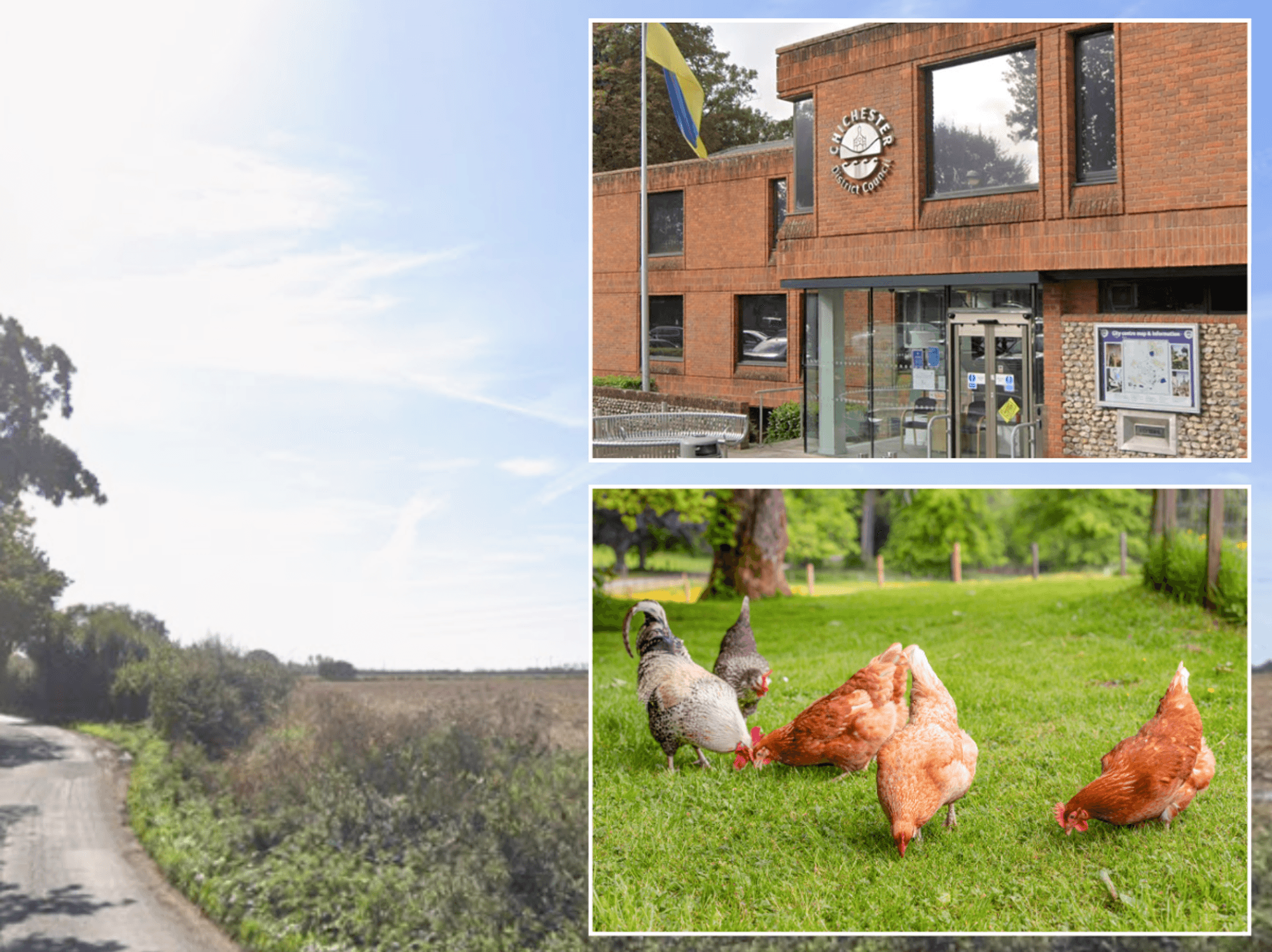 Council row erupts after widow buys fly-tipped wasteland and turns it into farm for children