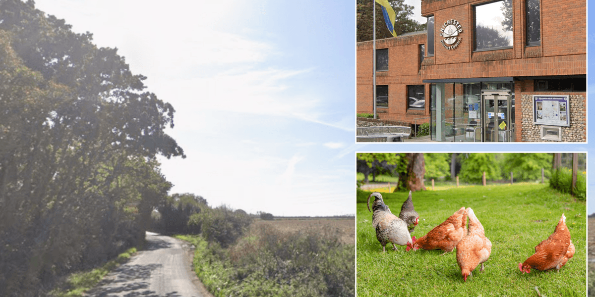 Council row erupts after widow buys fly-tipped wasteland and turns it into farm for children