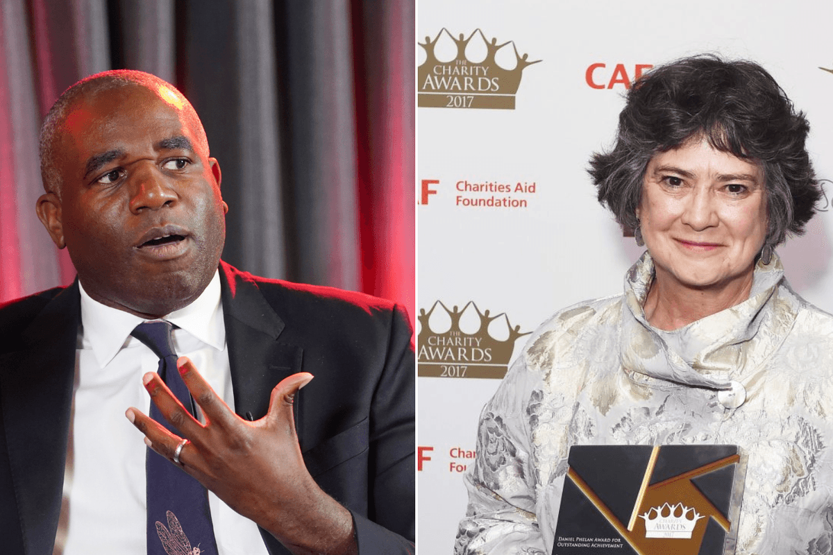David Lammy picks pro-diversity academic to be in charge of choosing Britain's judges