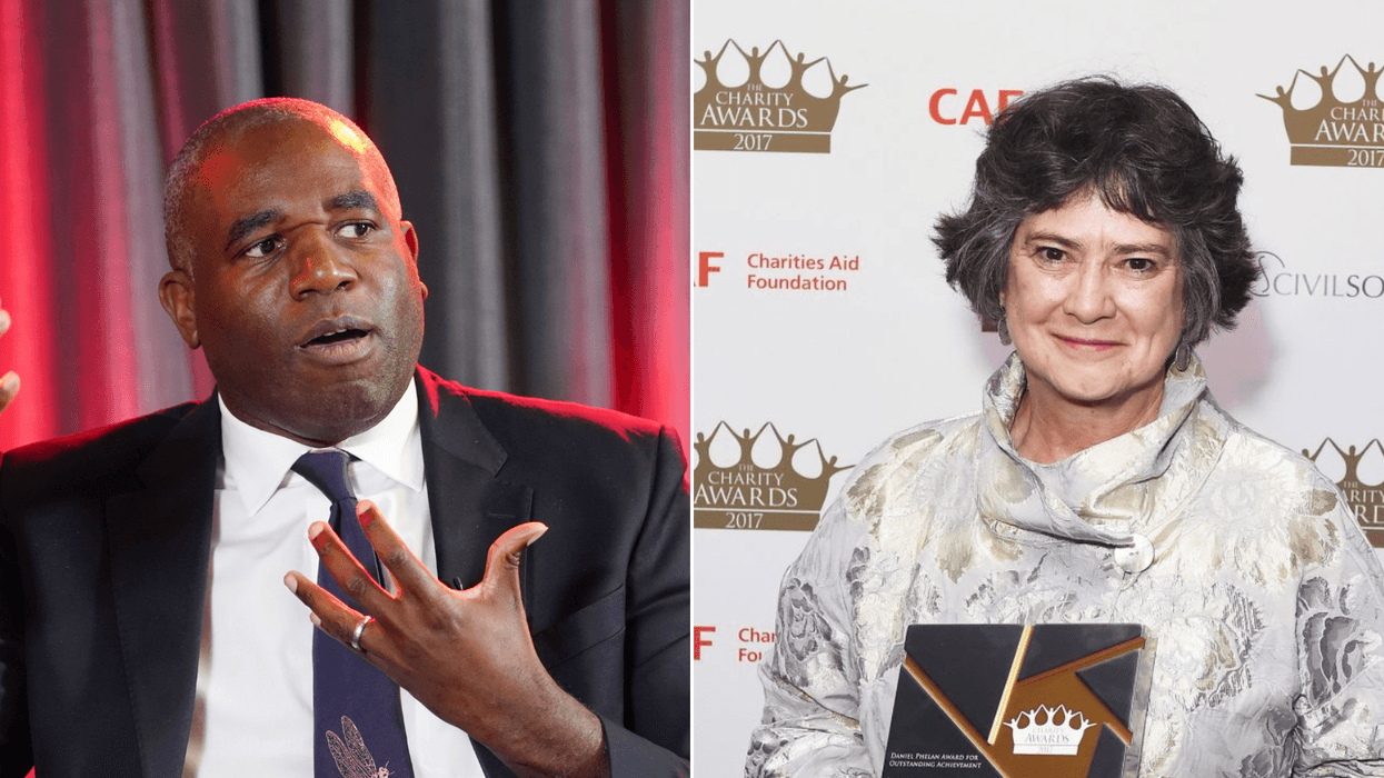 David Lammy picks pro-diversity academic to be in charge of choosing Britain's judges