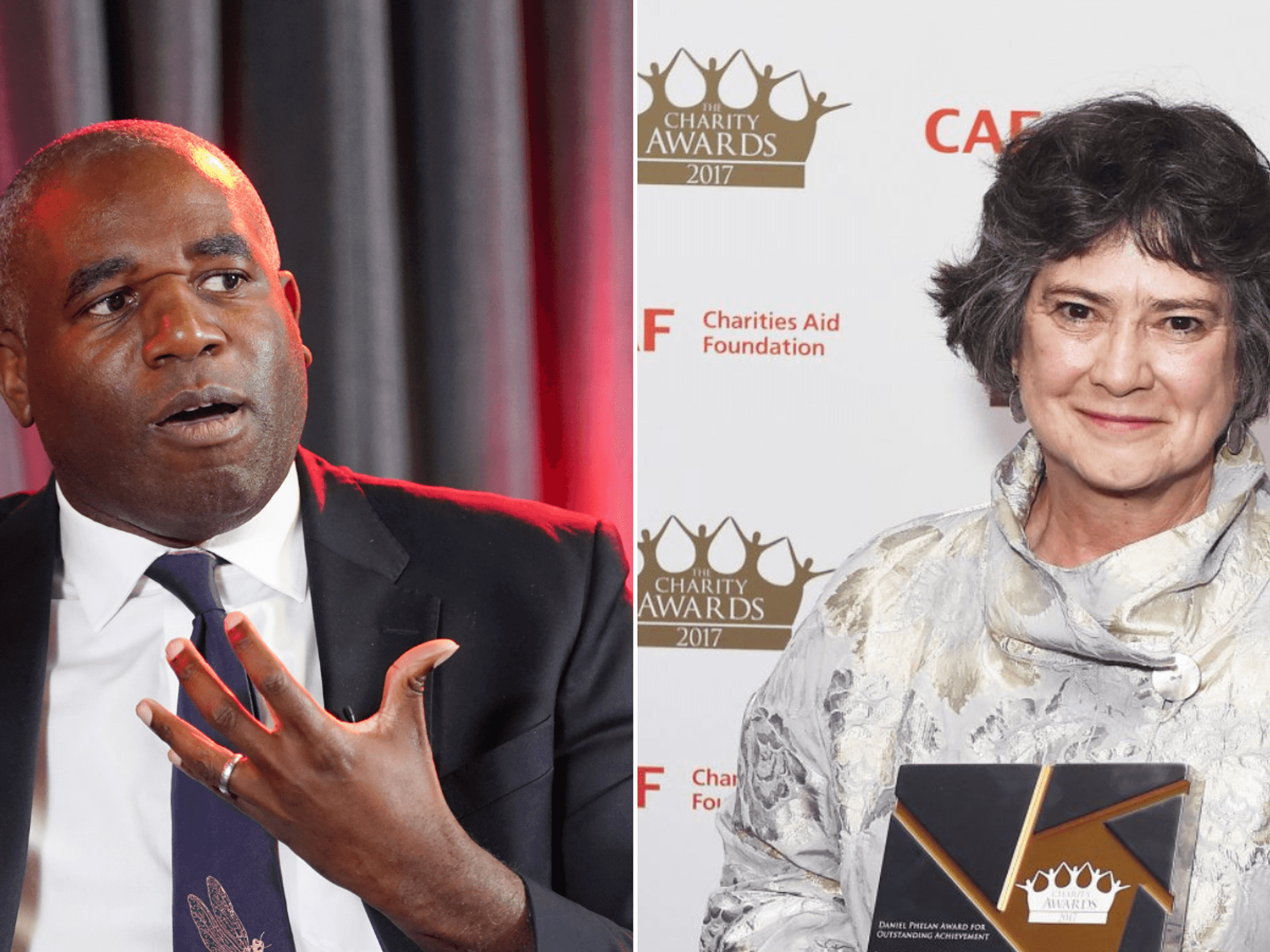 David Lammy picks pro-diversity academic to be in charge of choosing Britain's judges
