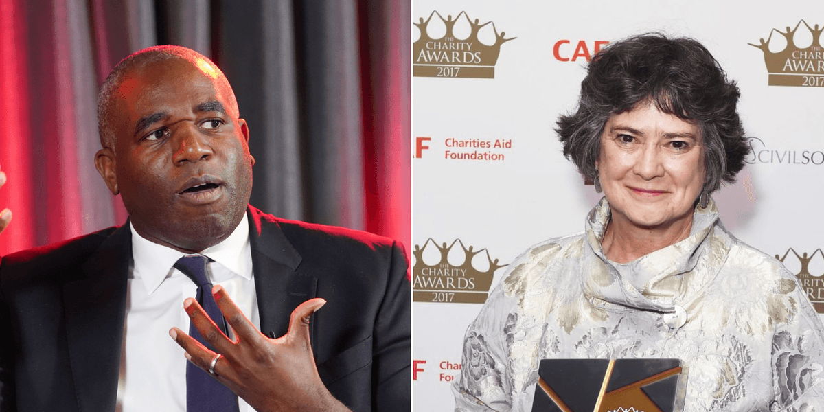 David Lammy picks pro-diversity academic to be in charge of choosing Britain's judges