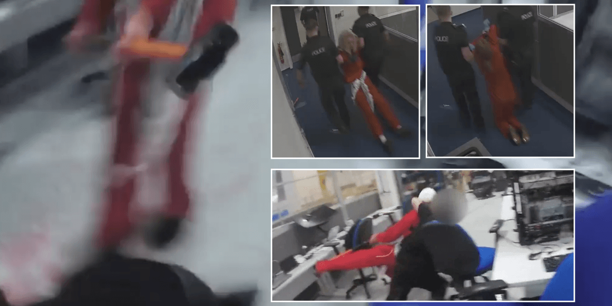 Palestine Action activist who hit police officer with sledgehammer sentenced to seven years in prison Palestine Action activist who hit police officer with sledgehammer sentenced to seven years in prison