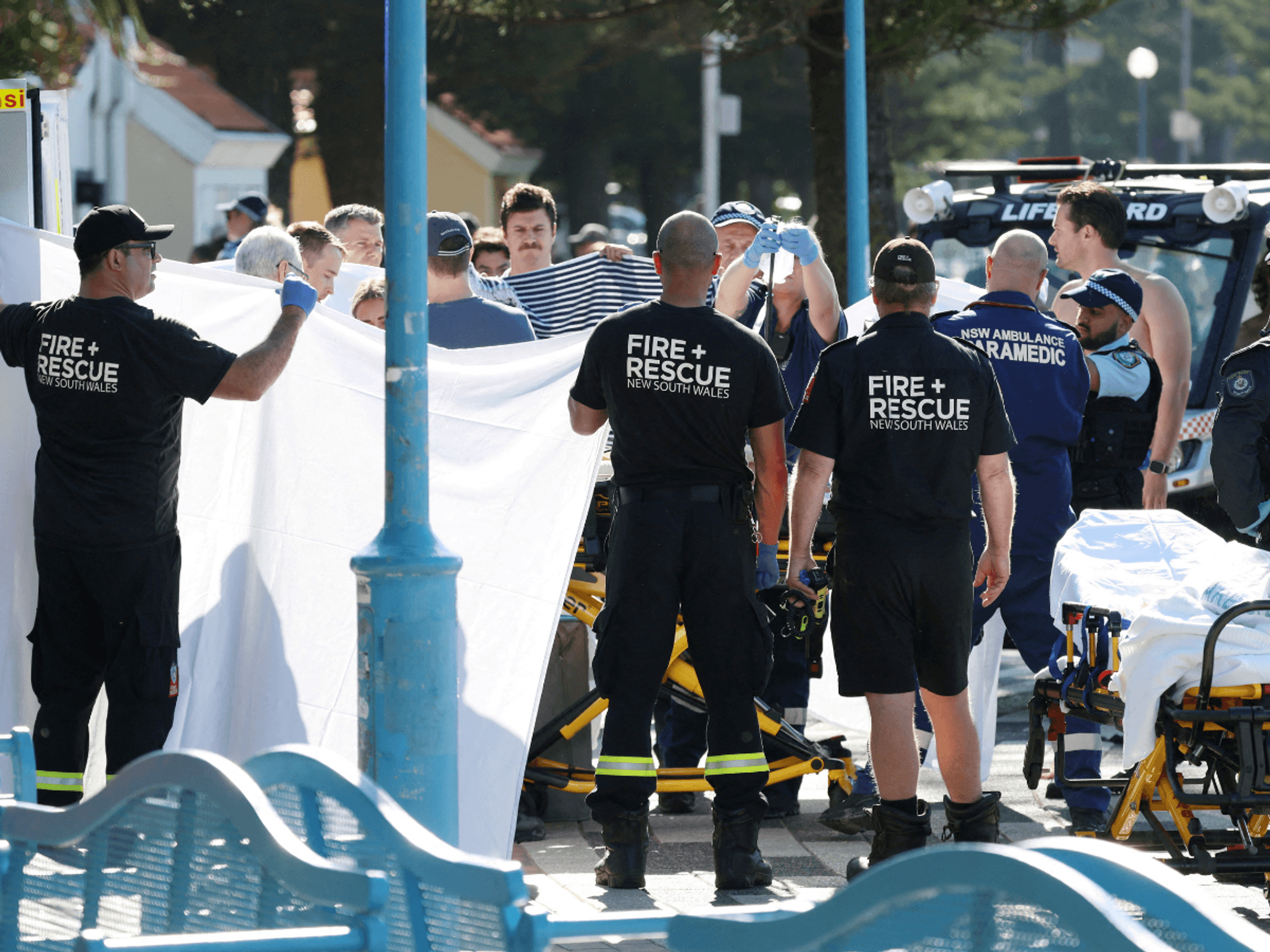 Woman left fighting for life after horror shark attack at popular Sydney beach