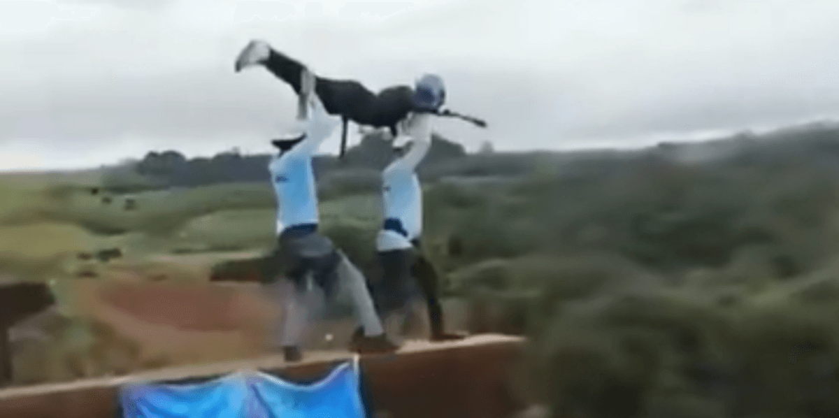 Bungee jump gone horribly wrong as woman plunges to death off bridge without safety rope