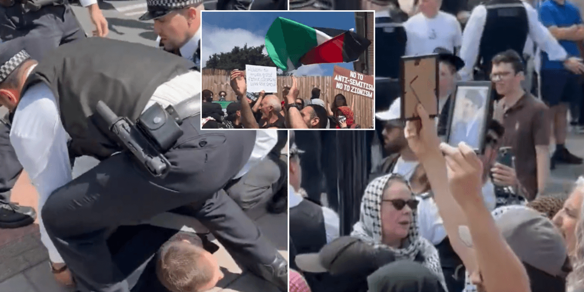 Police wrestle pro-Palestine activists to ground during 'disturbing' rally outside London synagogue