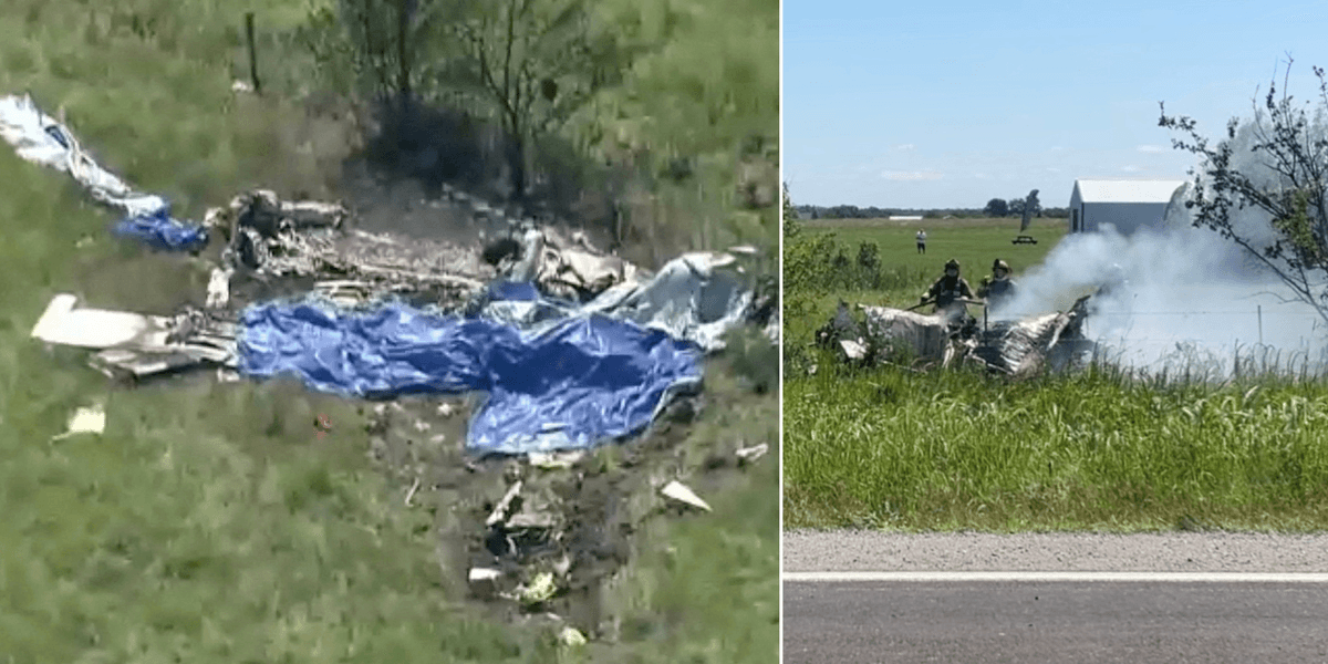 Pilot and 11 skydivers killed in 'mass casualty' US plane crash in front of family members