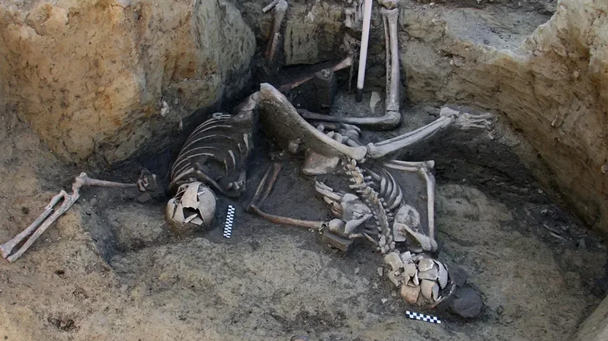 Archaeology breakthrough as skeletal remains of seven Roman soldiers uncovered from ancient well