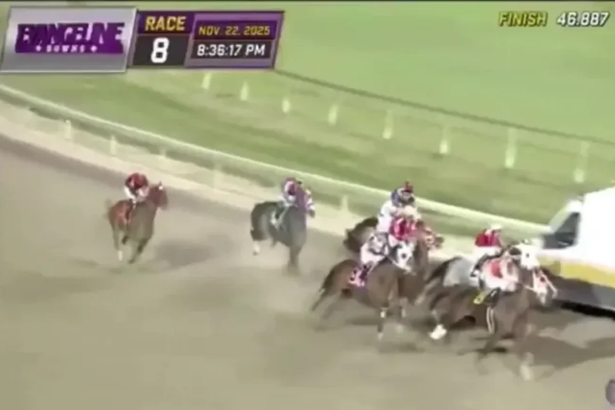 Jockeys forced to swerve ambulance with fans left astonished by chaotic scenes at horse racing