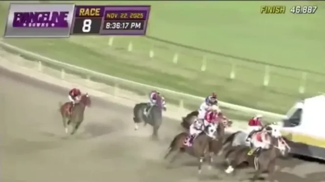 Jockeys forced to swerve ambulance with fans left astonished by chaotic scenes at horse racing