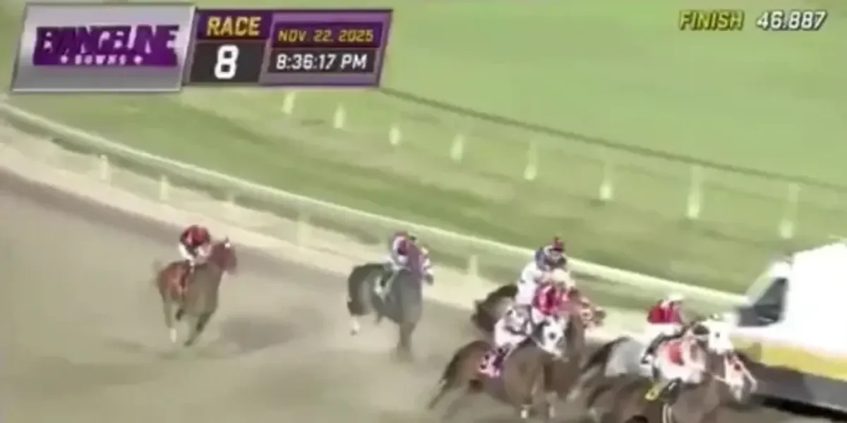 Jockeys forced to swerve ambulance with fans left astonished by chaotic scenes at horse racing Jockeys forced to swerve ambulance with fans left astonished by chaotic scenes at horse racing