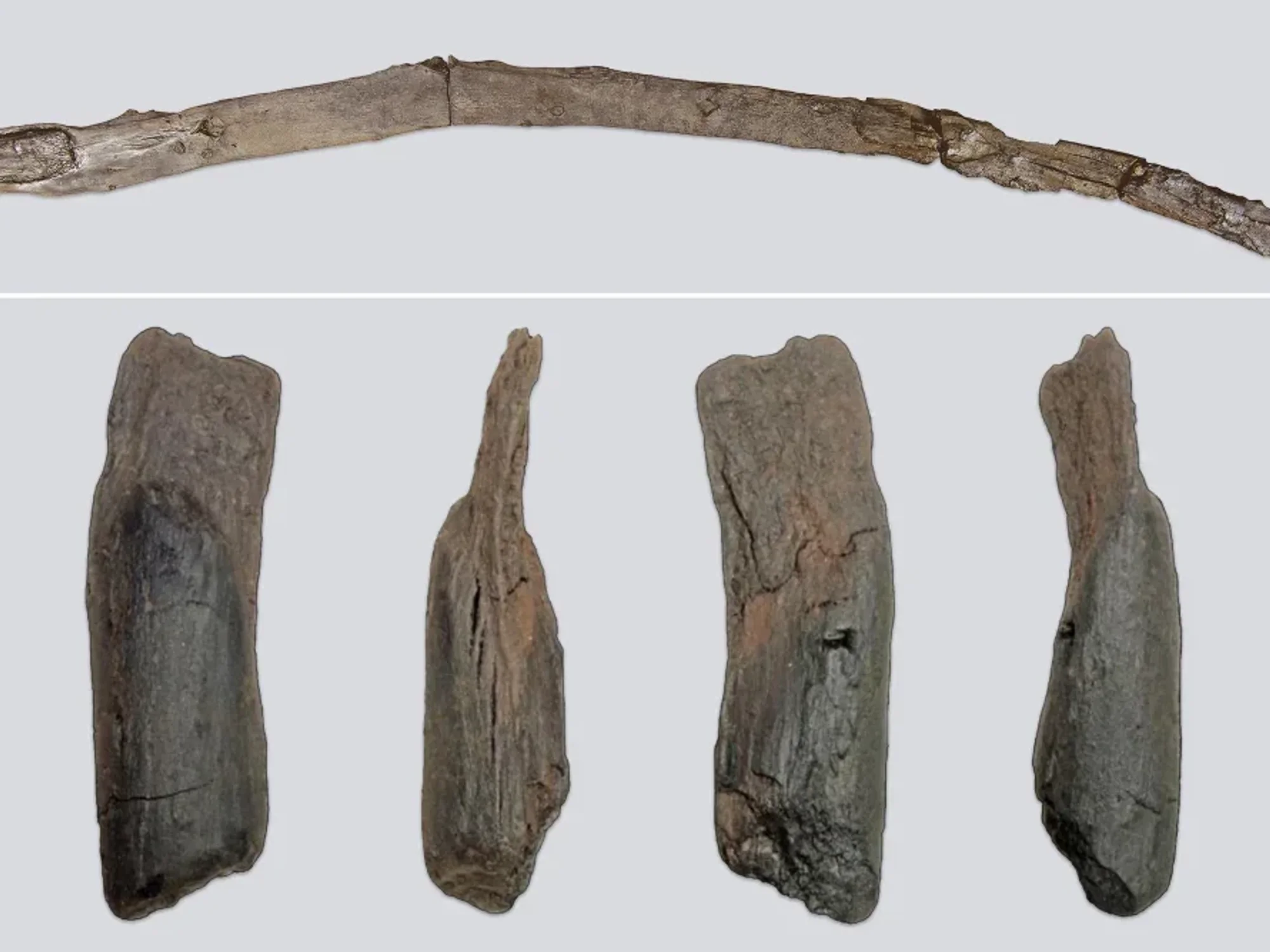 Archaeologists unearth wooden tools from 430,000 years-ago - older than the history of mankind
