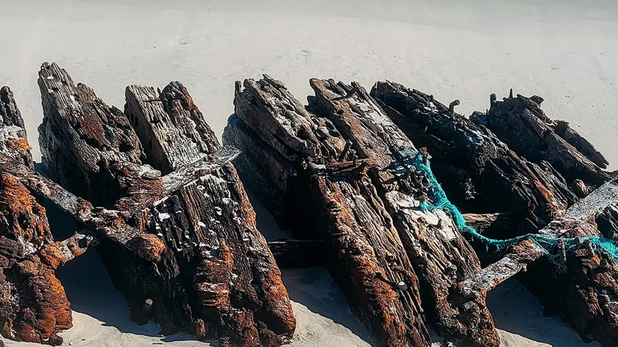 Shipwreck from Victorian-era resurfaces in New Jersey as Americans issued warning about approaching vessel
