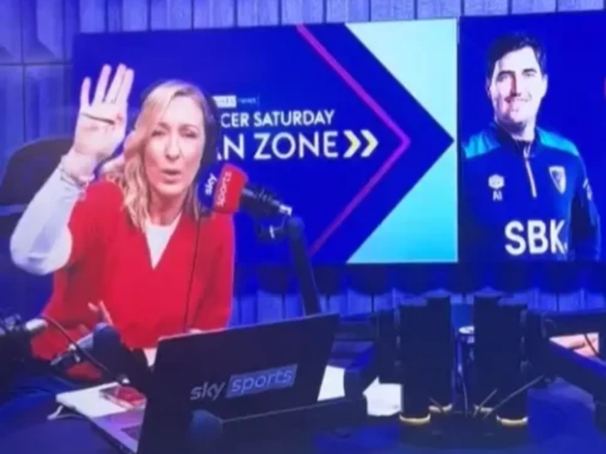 Sky Sports forced to apologise after football fan's actions during live interview