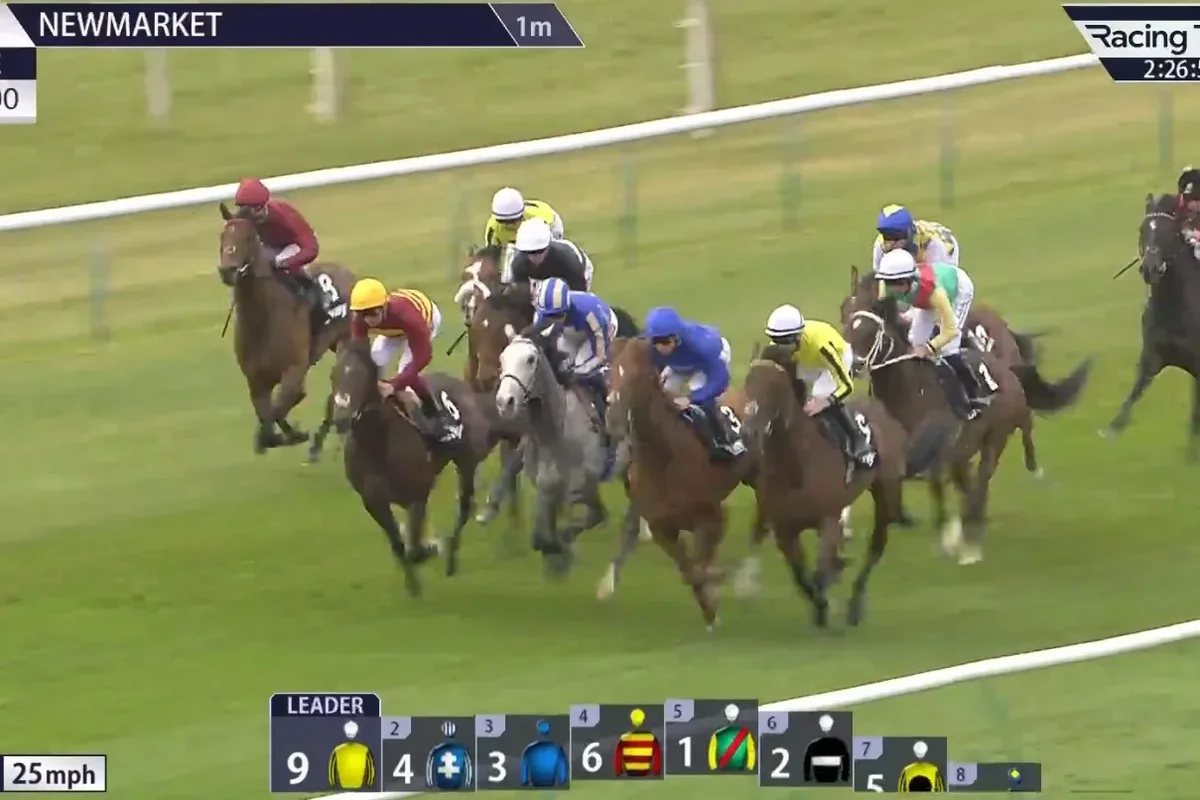 King Charles's horse 'completely annihilates' rivals with sensational debut