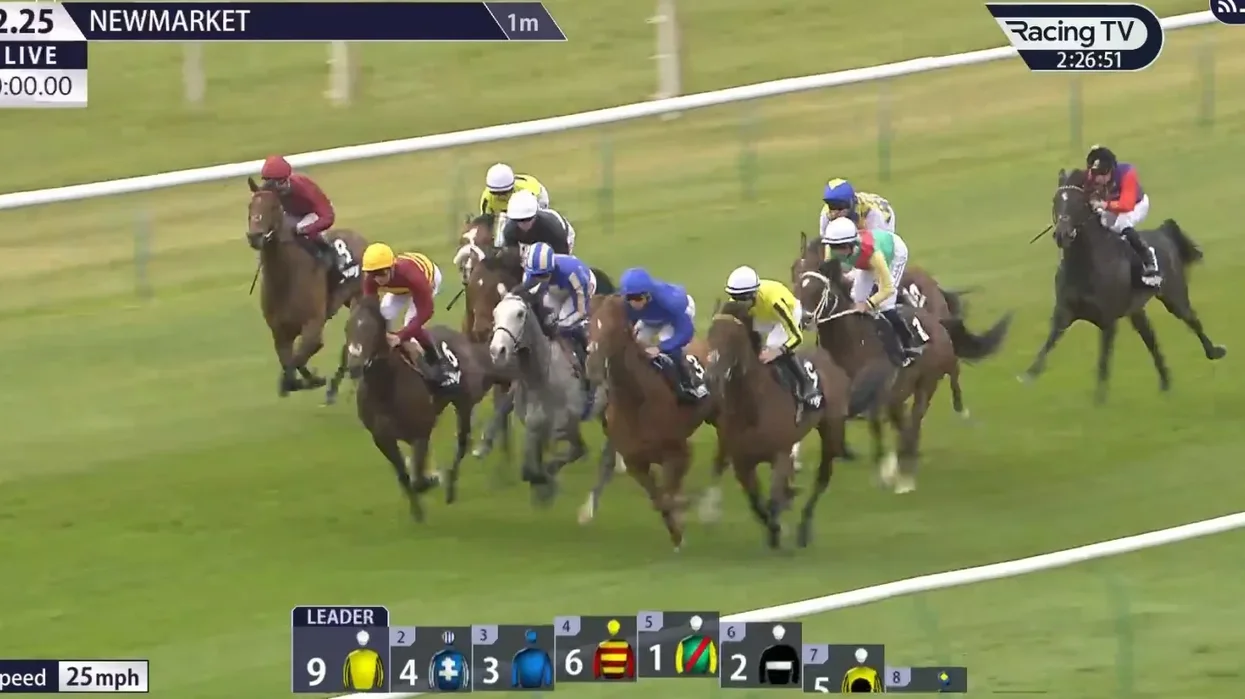 King Charles's horse 'completely annihilates' rivals with sensational debut