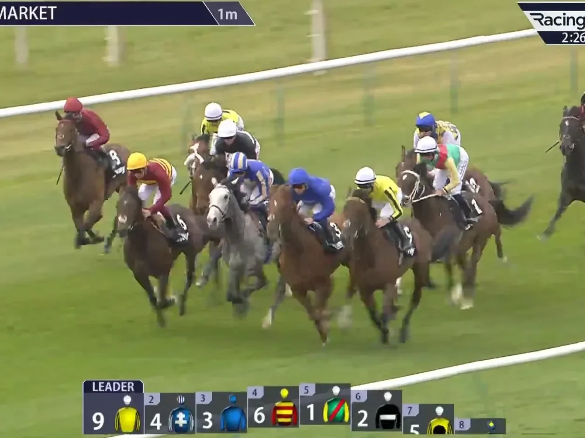 King Charles' horse 'completely annihilates' rivals with sensational debut
