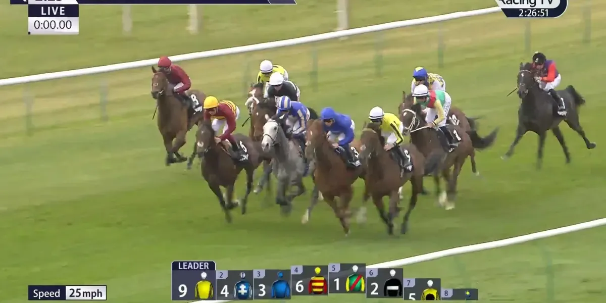 King Charles’ horse ‘completely annihilates’ rivals with sensational debut King Charles’ horse ‘completely annihilates’ rivals with sensational debut