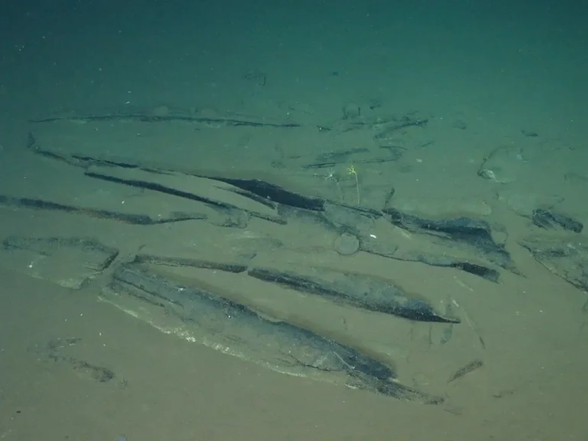 Gigantic graveyard more than 745 miles long emerges from bottom of Indian Ocean
