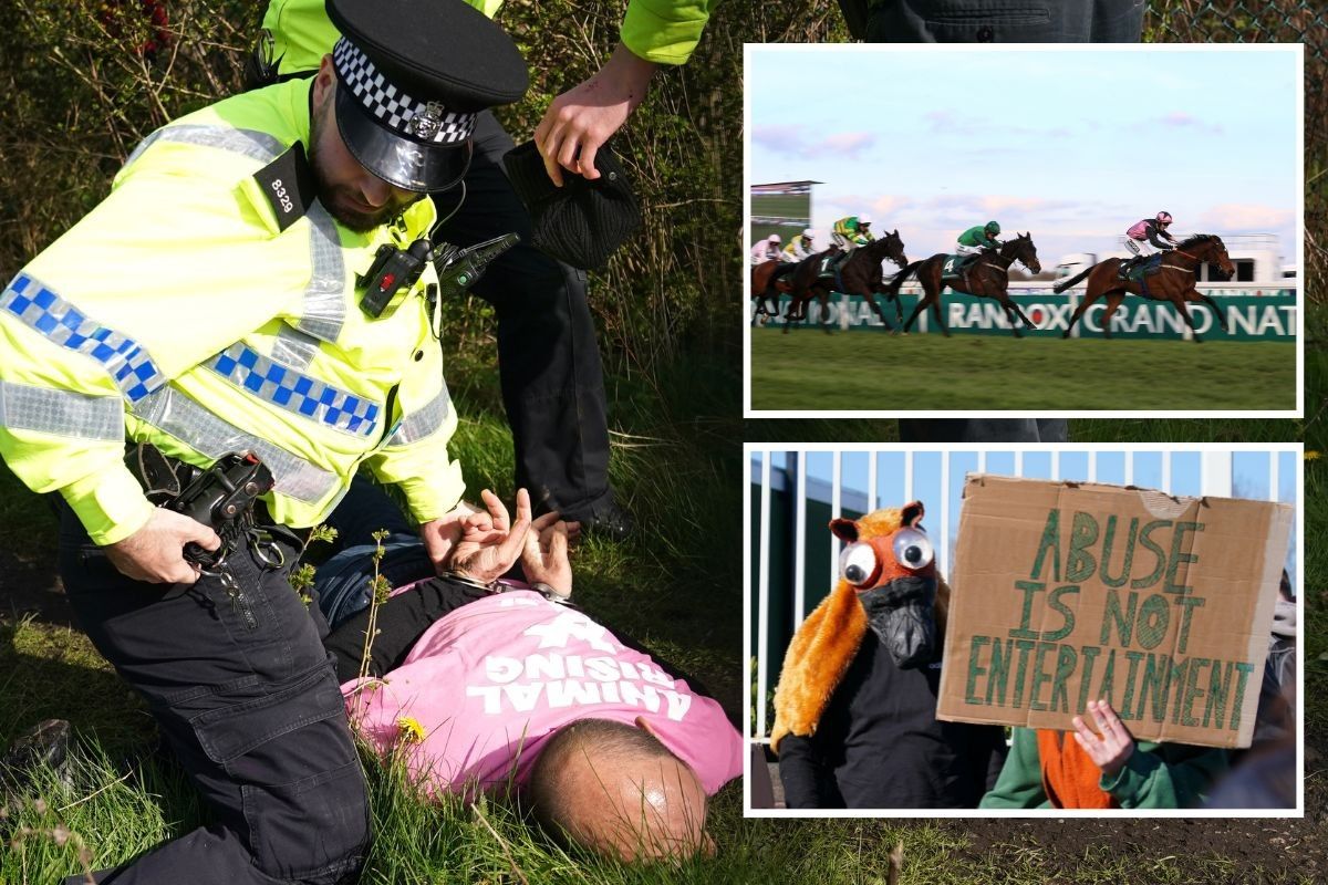 Images from protests at the Grand National