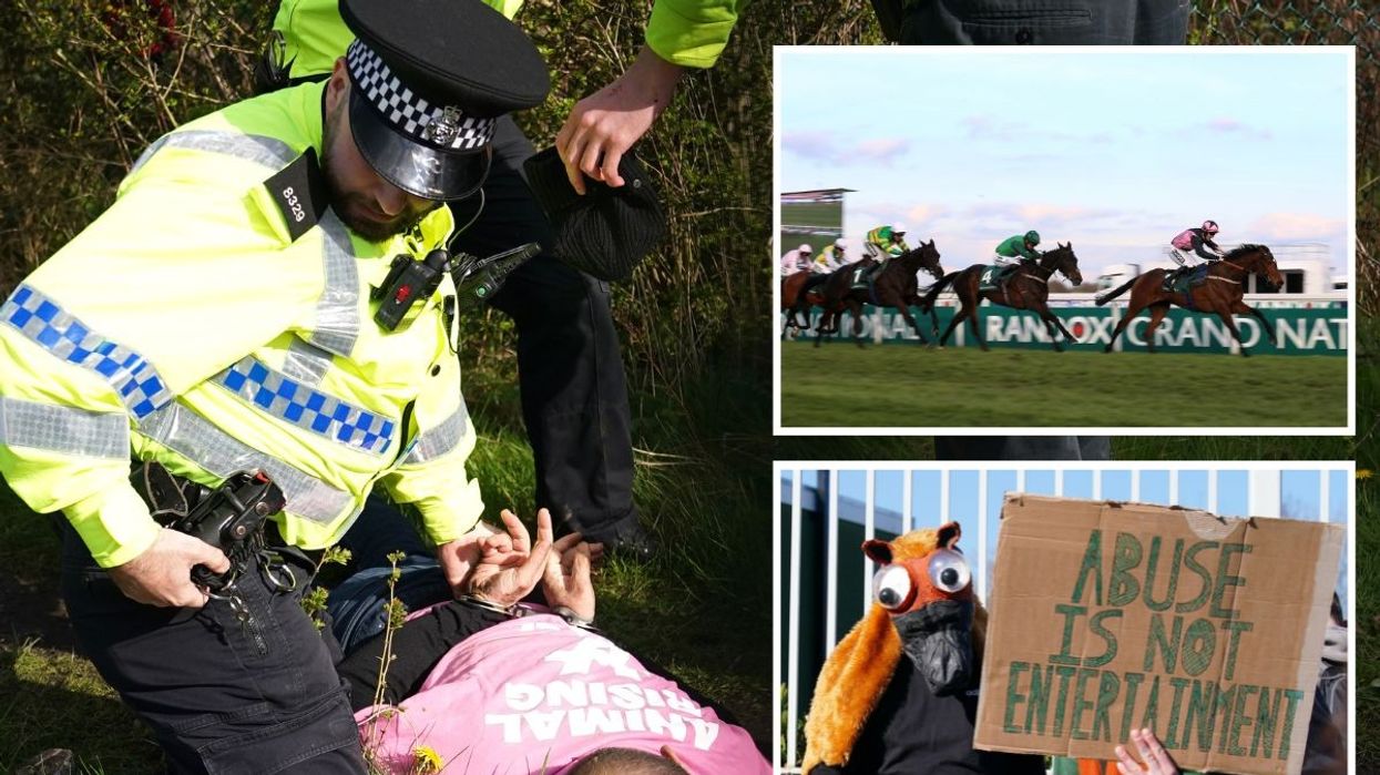Images from protests at the Grand National