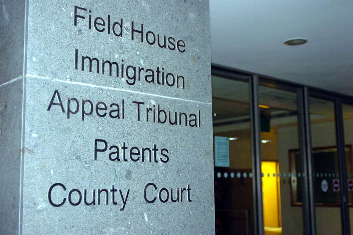 Immigration tribunal