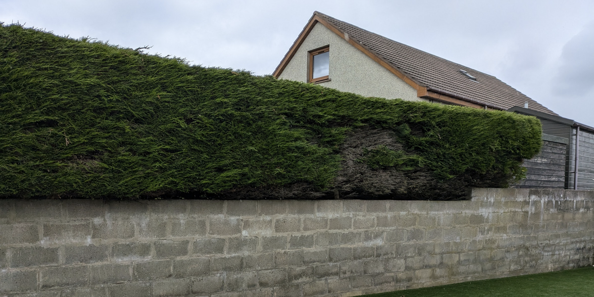 NextImg:Neighbour row explodes as homeowner loses battle over hedge that 'spoils his family's summer barbecues'