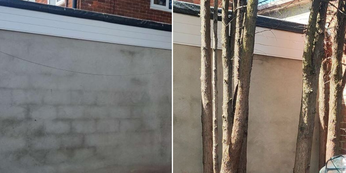 NextImg:Neighbours left furious after house next door builds 'concrete prison' in back garden - 'Overwhelmingly unpleasant!'